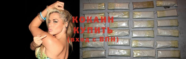 трава Бронницы