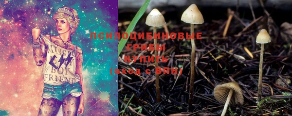 бошки Бугульма
