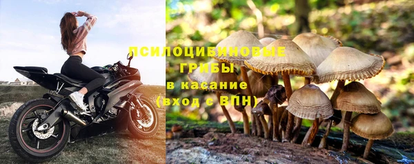 бошки Бугульма