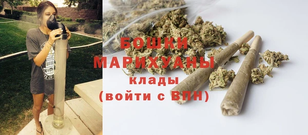 трава Бронницы