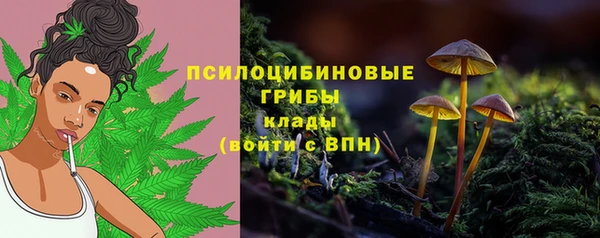 круглые Бородино