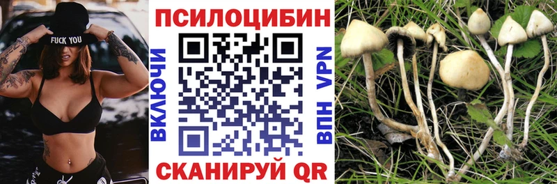 Галлюциногенные грибы MAGIC MUSHROOMS  ссылка на мегу   Армавир 