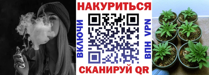 дарнет шоп  Армавир  Каннабис планчик 